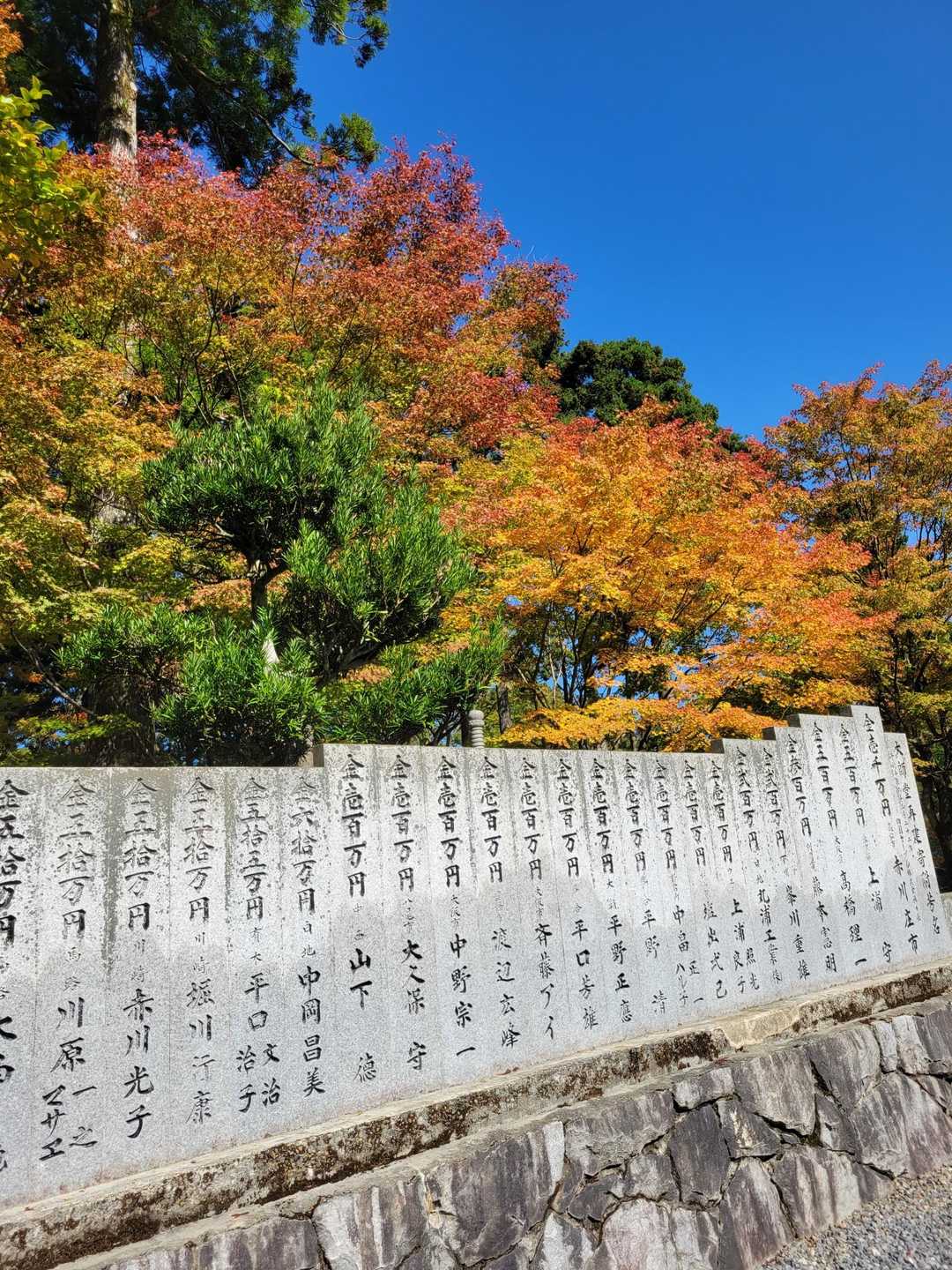 山嶺駅-雲辺寺山 周回コースの写真