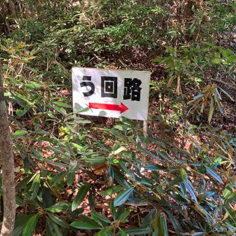 一人なので迂回路へ😆危険は避けて⚠️