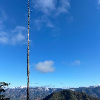 ええ感じです。