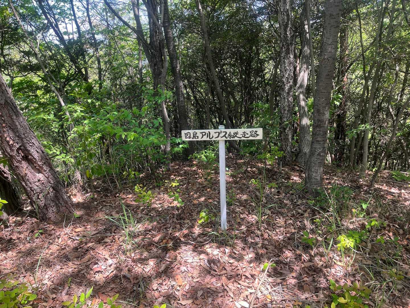 全周すると凄い距離です💦因島アルプス⛰️