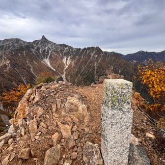 ざれた急登を木の枝や草を掴みながら
4足歩行で赤岩岳
昨日の赤沢山に比べたら大した事ない🤣
