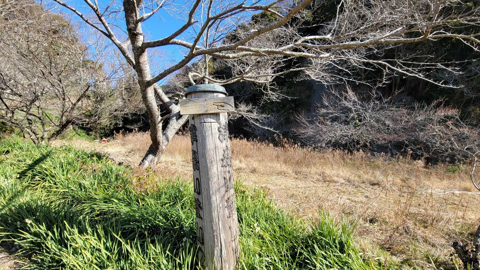大崩バス停-津森山-人骨山 周回コースの写真