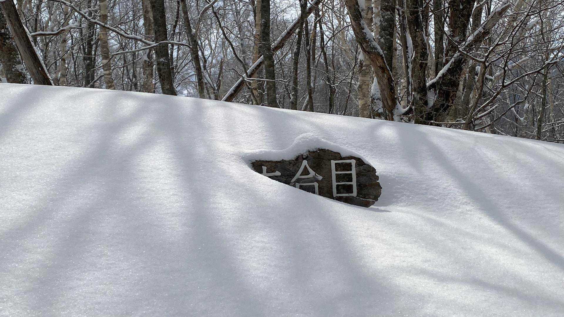❻号目🪧