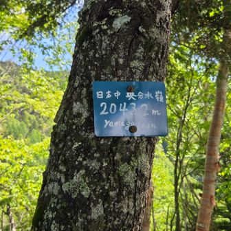 日本中央分水嶺🤔
ココから日本海と太平洋に分かれていくんですね🏞️