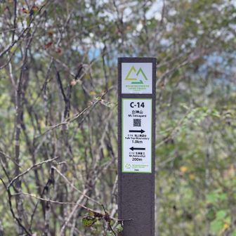 立神山⛰️雨上がりの登山道が滑るのなんのって💦