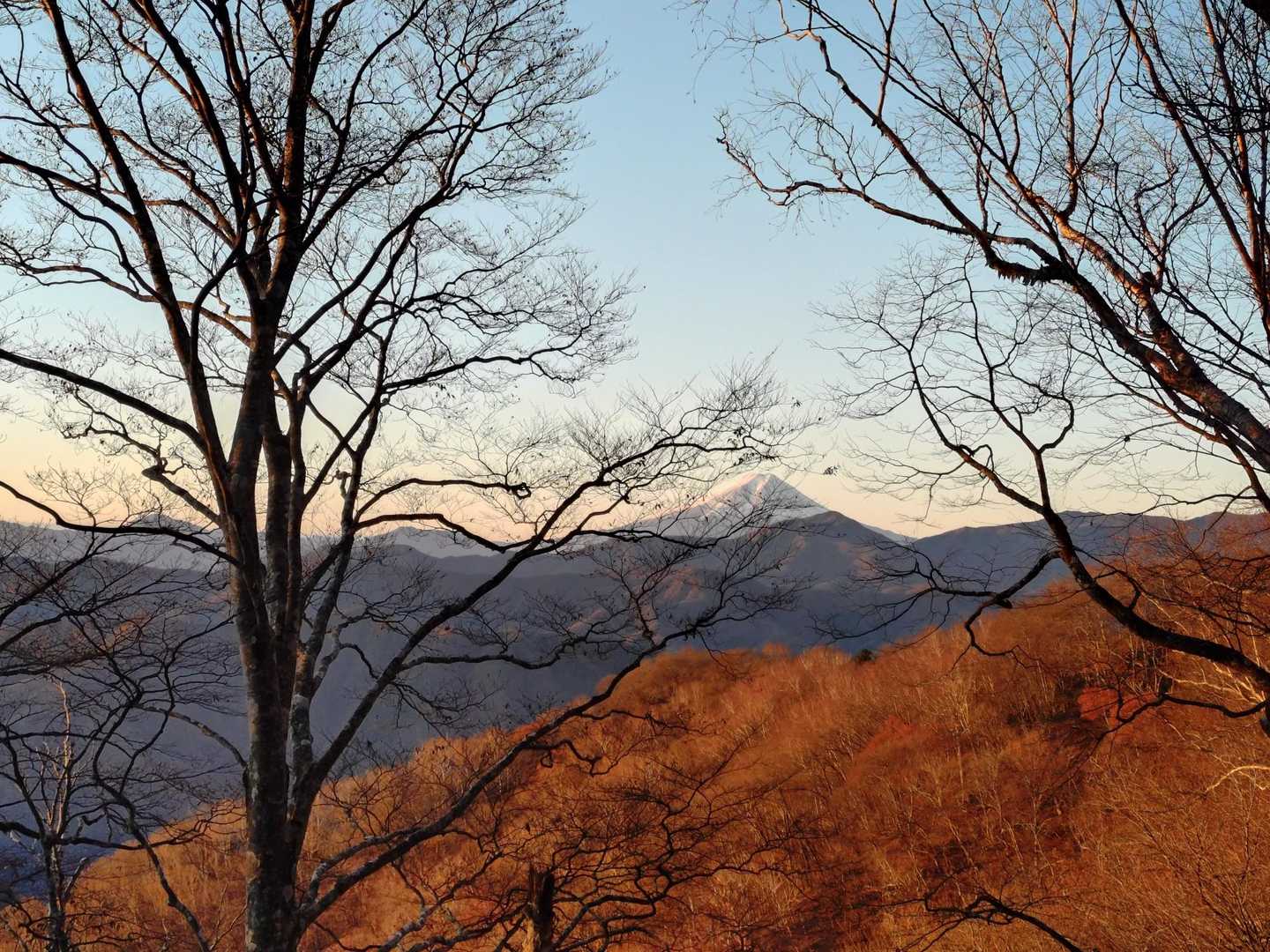 小袖登山口-七ツ石山-雲取山-雲取山荘 往復コースの写真