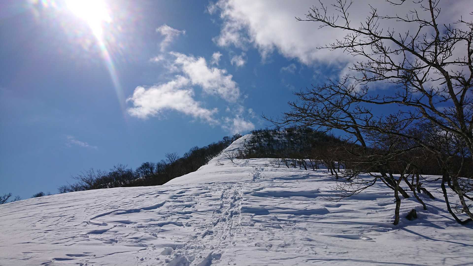 ヤケ山-ヤケオ山 往復コースの写真