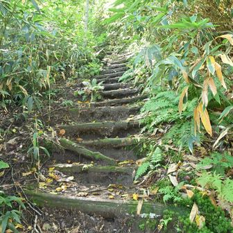鉢山までは段差が高過ぎる階段、距離は短いながらも結構辛いです