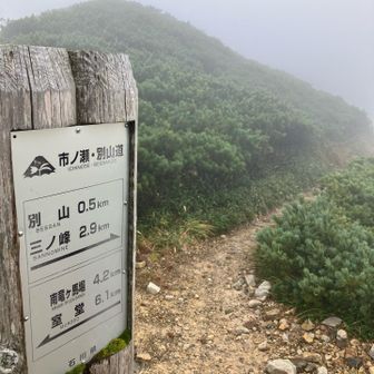 この辺から雨☔