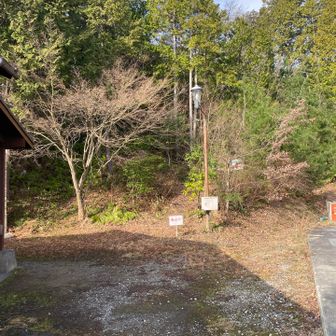 ここから登山道へ