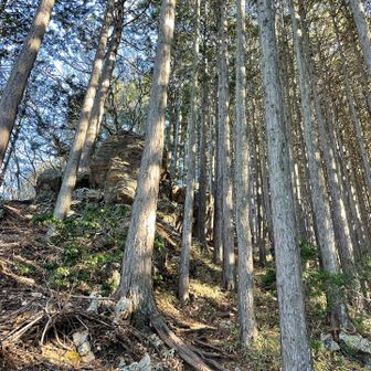 なにせ皆さん健脚でベテランさんばかり
ペースが速いんで、写真撮る間ないんです

この写真🤳何を撮ったのかな🤔