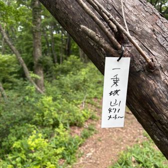 一乗城山⛰️