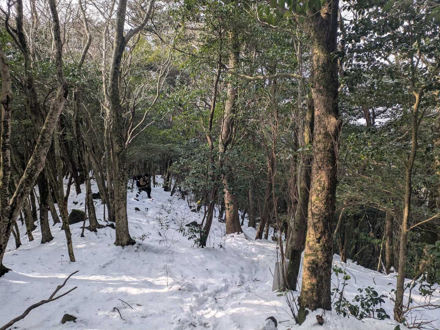舞岳・経ヶ岳登山口-舞岳-経ヶ岳 周回コースの写真