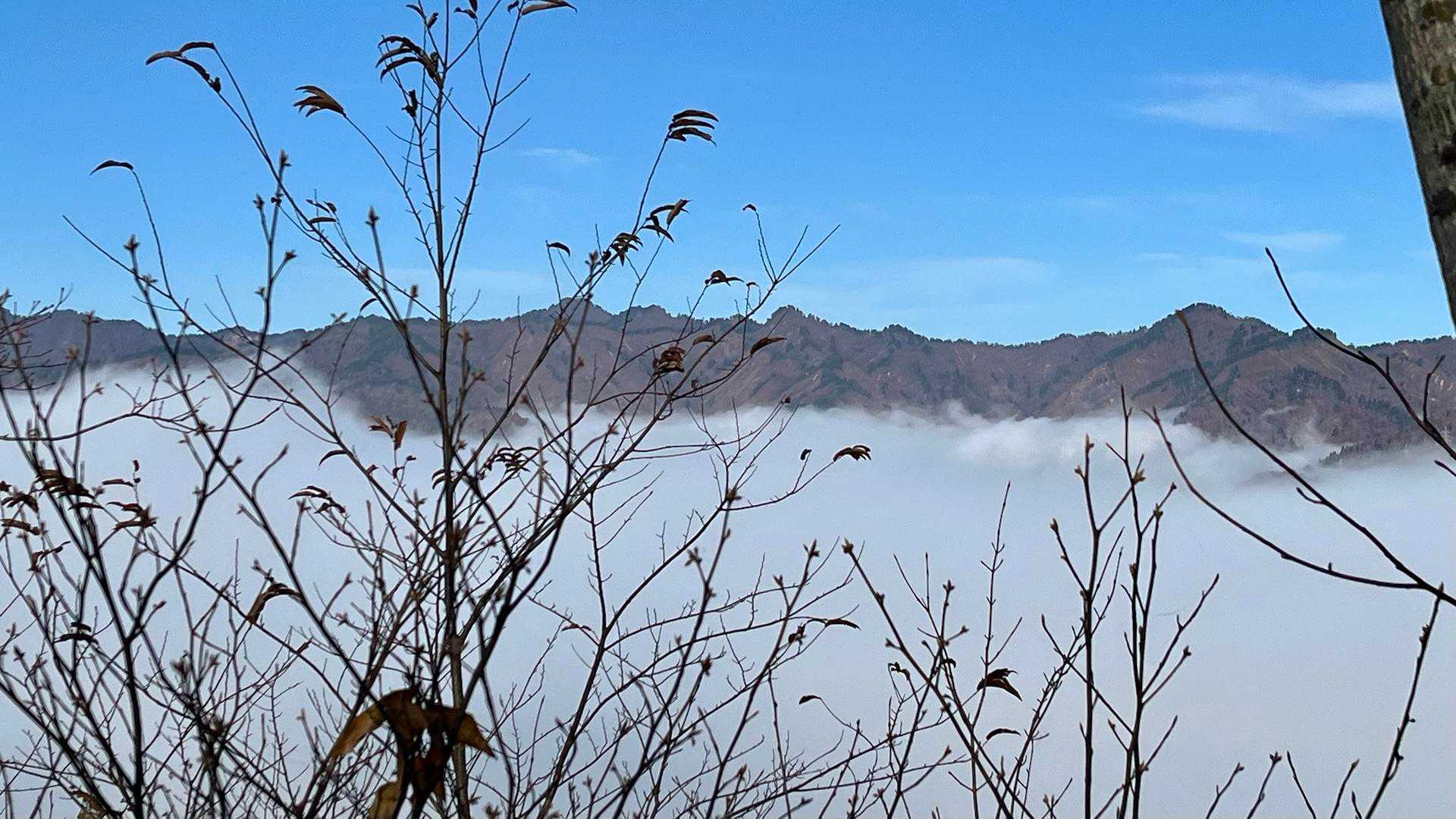 周りの山々が雲海から顔を出し始めました👀