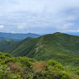 山頂では虫達がチョ〜人恋しく集まって来るわ来るわで落ち着かなかった😭
正面から左方向へ下山します　その前にチョ〜激下りをクリアーしないと😨