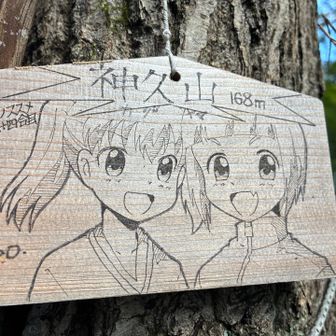 ヤマノススメの山頂標識も有り