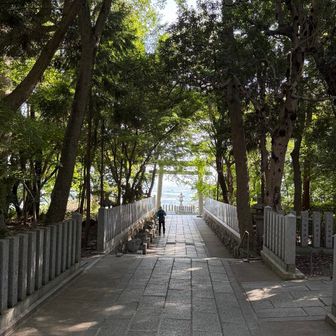 岡本にある保久良神社⛩️。梅の時期が綺麗です