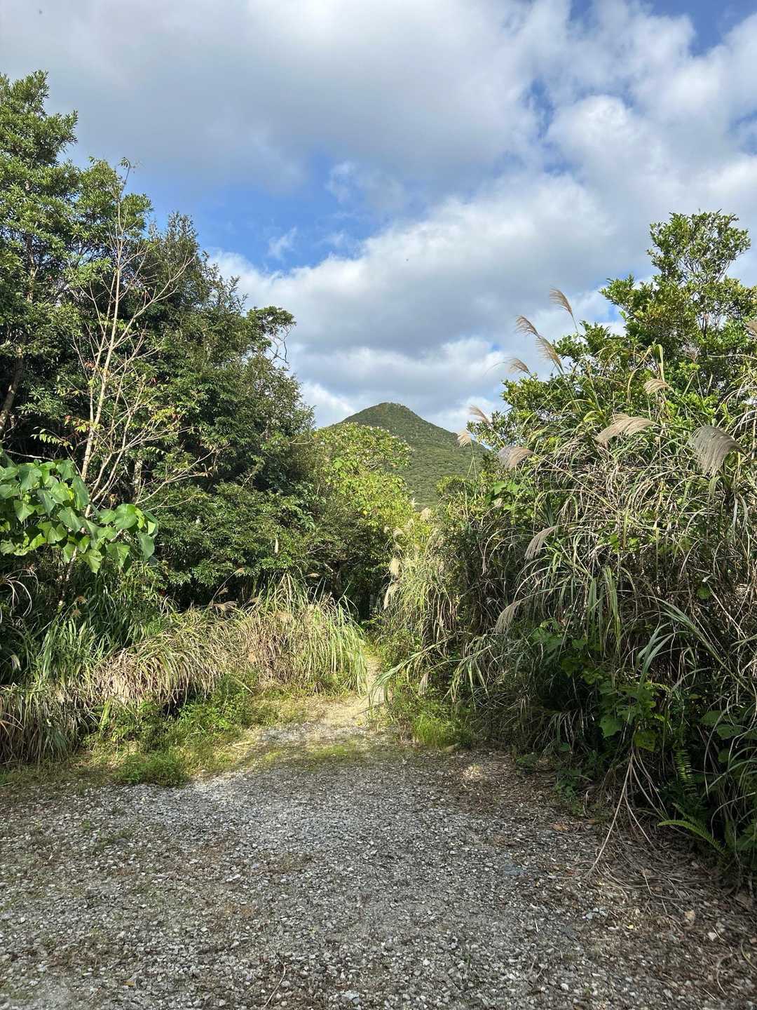 道中、伊部岳山頂が見えたのはここだけ👆
