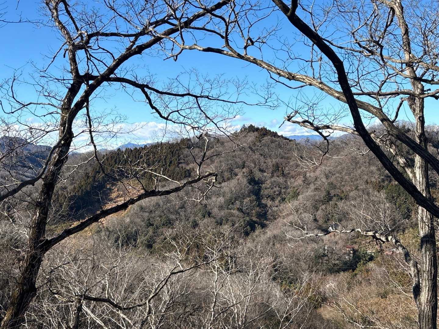 展望台からの眺望。富士山は見えませんでした。