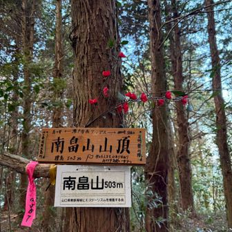 南畠山
勿論眺望なし🤣