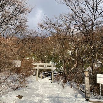 鳥居も⛩️まだ見えてます