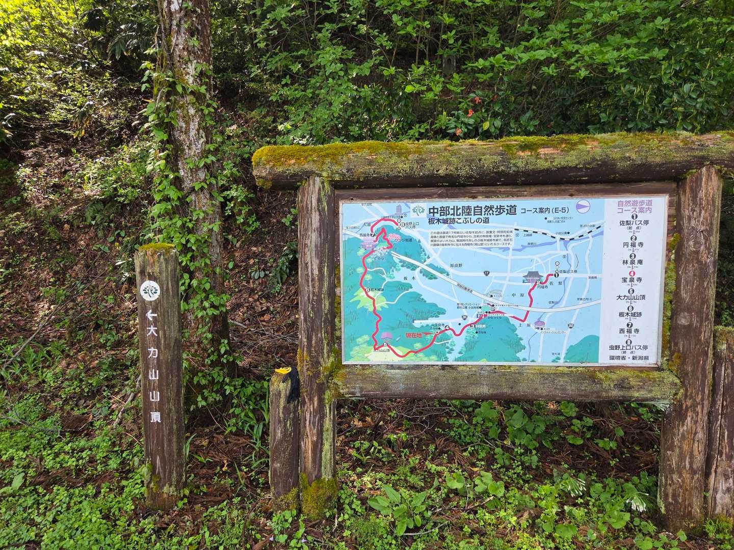 さぁ、宝泉寺さんからスタート
よろしくお願いします