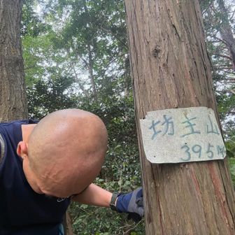 Wピーク笑