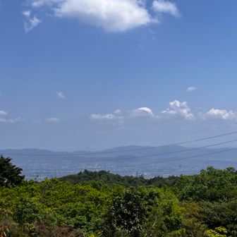 京都市内方面