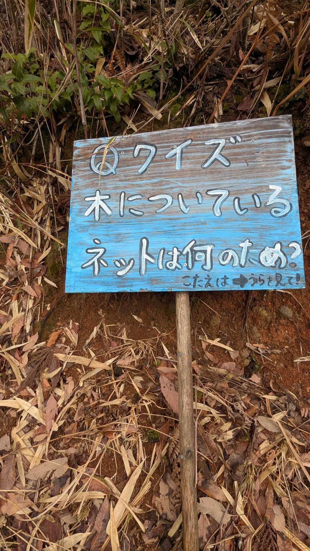 クイズの看板は写したけど、肝心の木についているネットを写してない😰頭が冬眠から覚めてない！