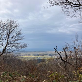 休憩所からの荒川河口方面🖼️
コウサでボヤけてます🤩😅