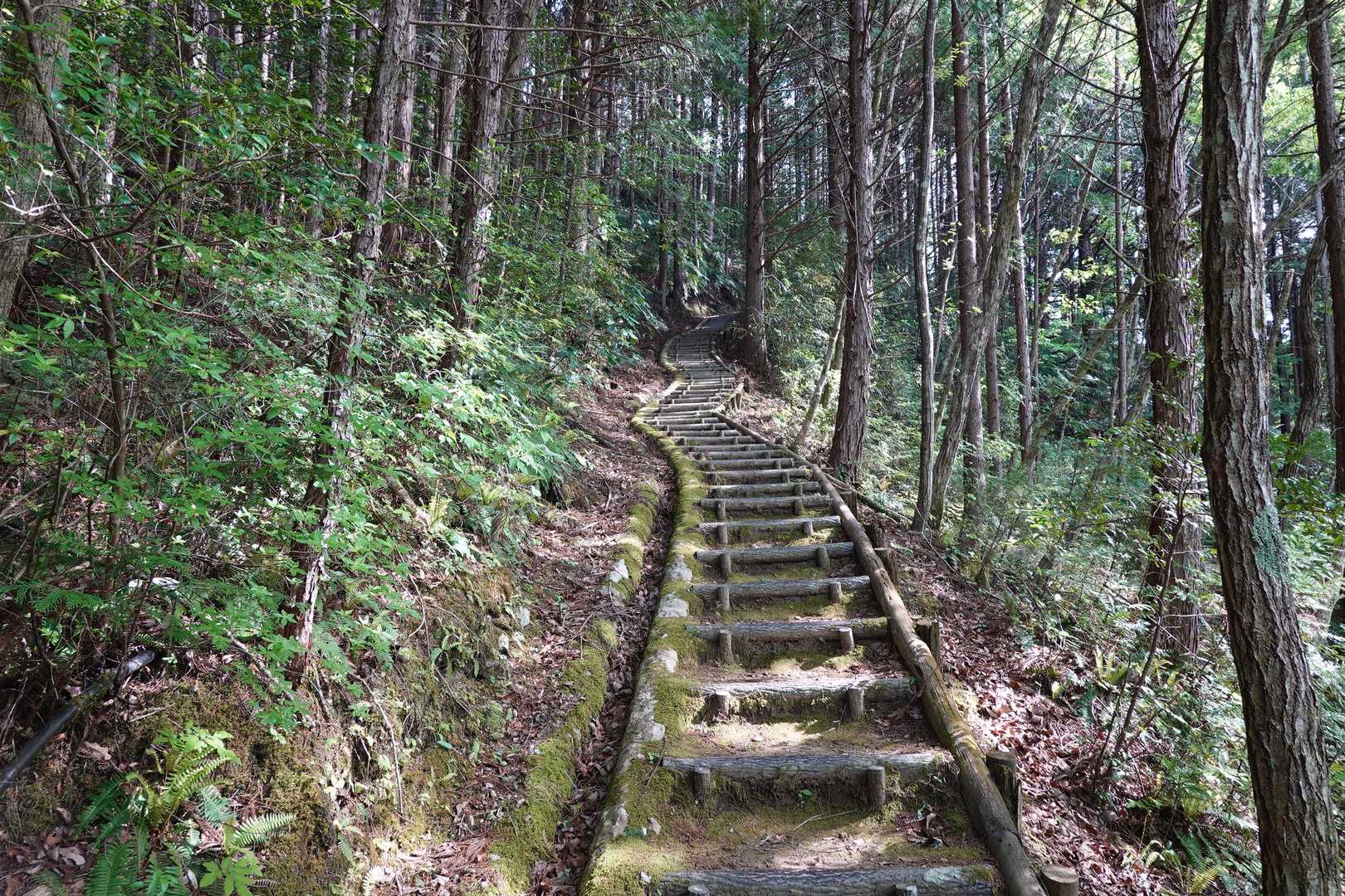 階段を進みます