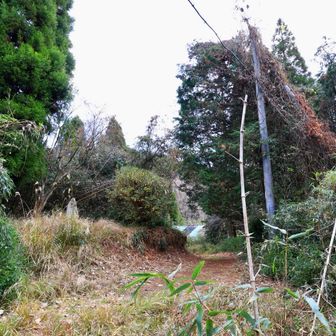 …倒竹地帯を顔から突破して下界へ姿を現したおっさんでありました…。やはり、こんなときに発する第一声としては…。