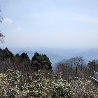 南西。高賀神社方向（中左）