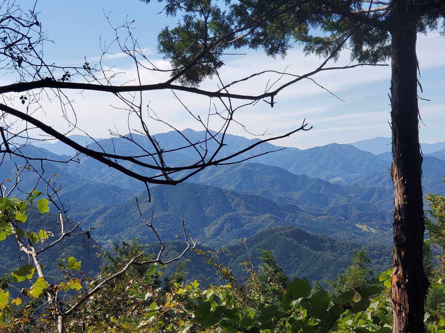 石老山 往復コースの写真