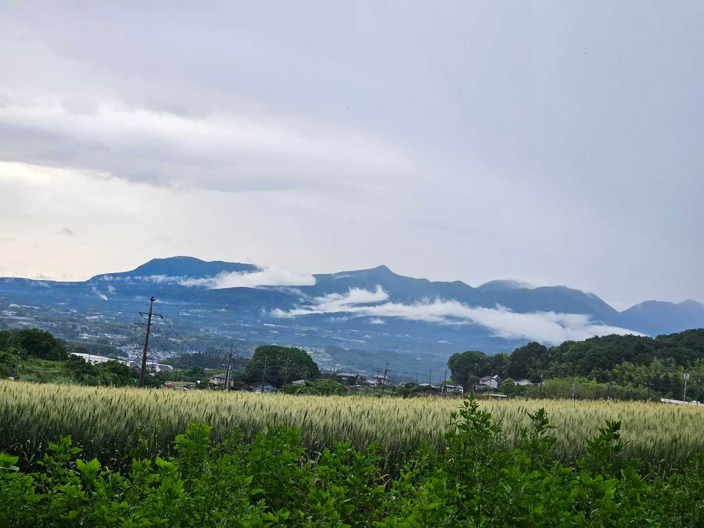 上からは、雲海ですね。