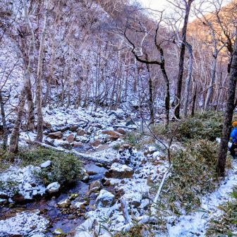 沢まで下りて来ました🙌

ここからは陽が当たらず、風が冷たくて寒かったです🥶