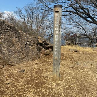 本日の最高標高。日の出山山頂は賑わってた。