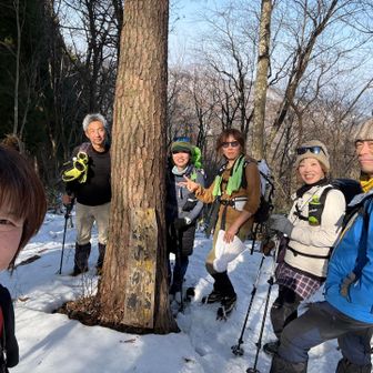 下山で見つけた羽衣の松🌲