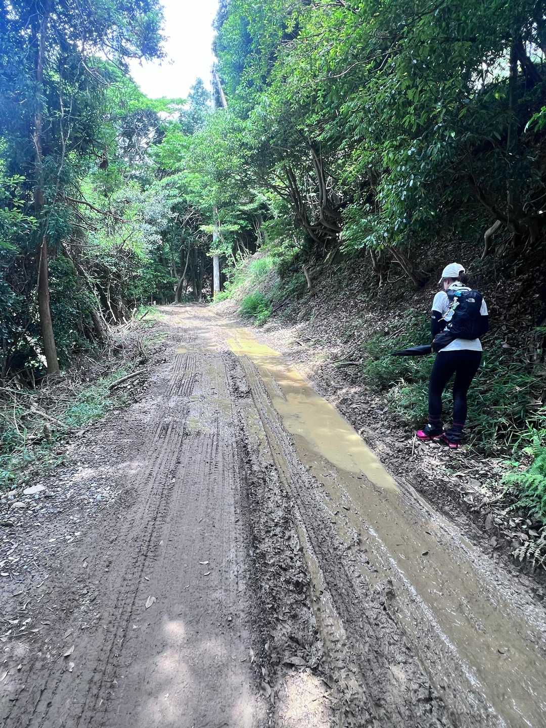 舗装道路終わると…グチャドロ道💦
宇賀⛰️より先で伐採が行われているみたいで🪵運ぶトラックが何度も行き来🚚
何度も出会うため🚚お兄さんと仲良くなったのでこの区間ダケは荷台に乗せてもらいたかったくらい😁
