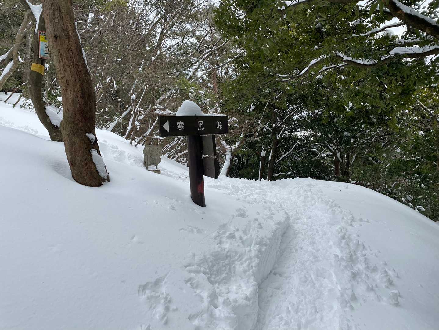 涼峠
立派なトレースになりました😁