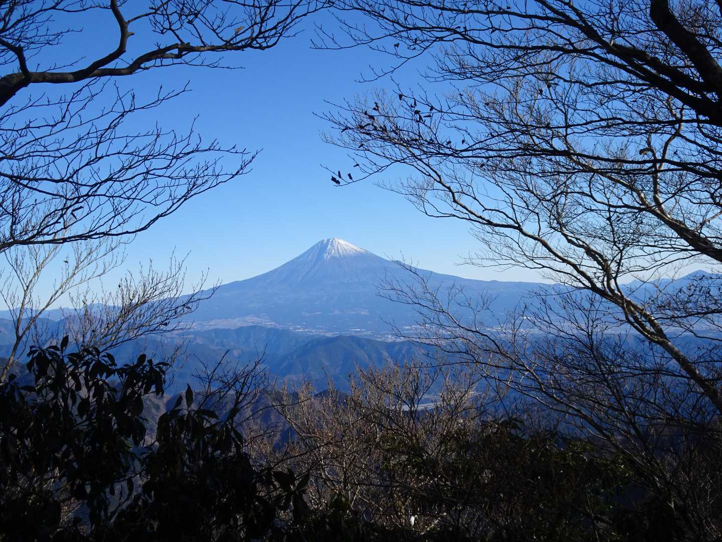 稜線出会いで富士山バッチリ