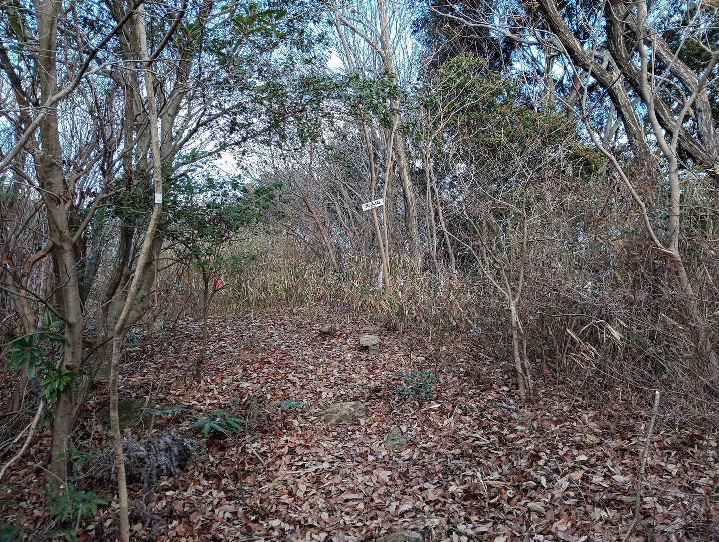大入山山頂に😃（標識撮るの忘れてます😅）