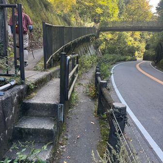 再度ここから登山道へ