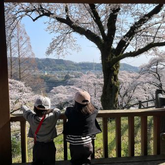 子供の視線は大人と違う事が多い