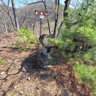 祠がありました。