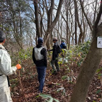 特にすることないけ、サッサと退散ꉂꉂ😁