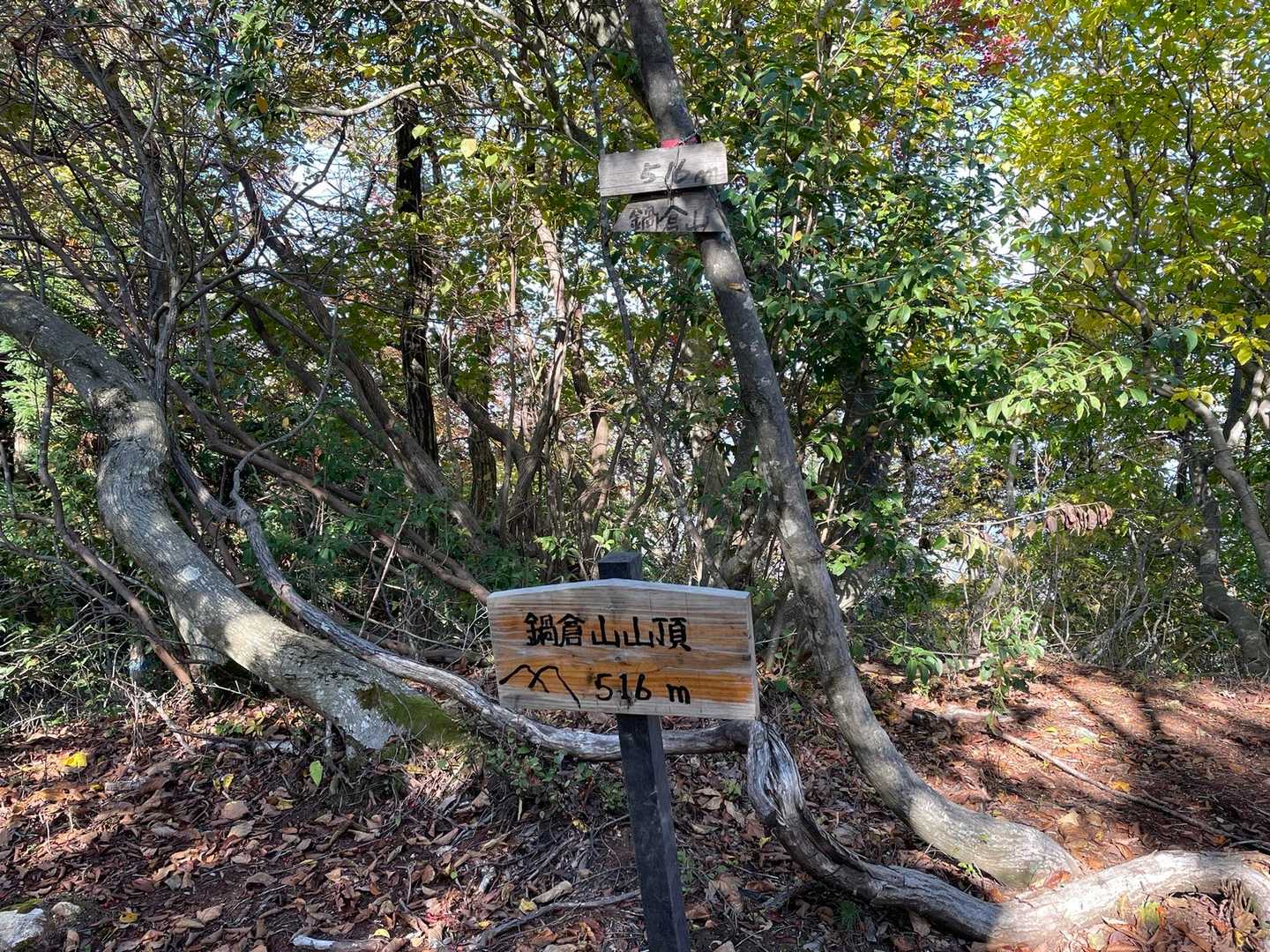 急登の先は鍋倉山🙌
脂肪ばかりの高齢者の為
熊も寄りつく気配無し🐻