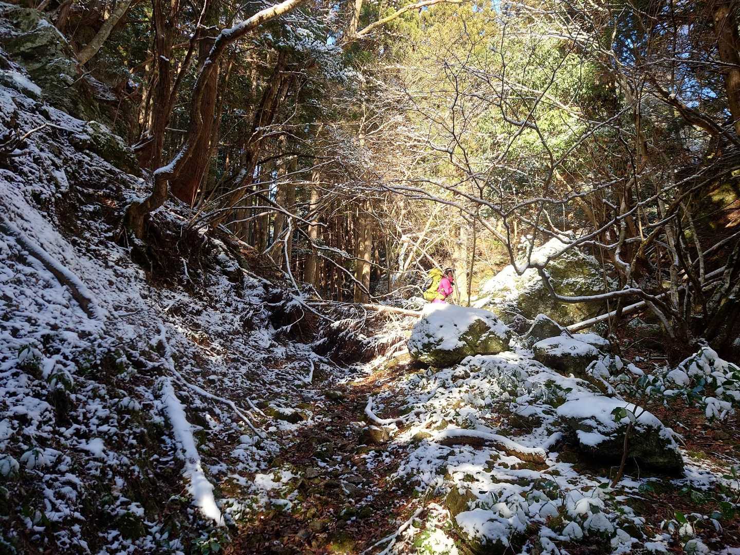 ちょっとずつ雪景色