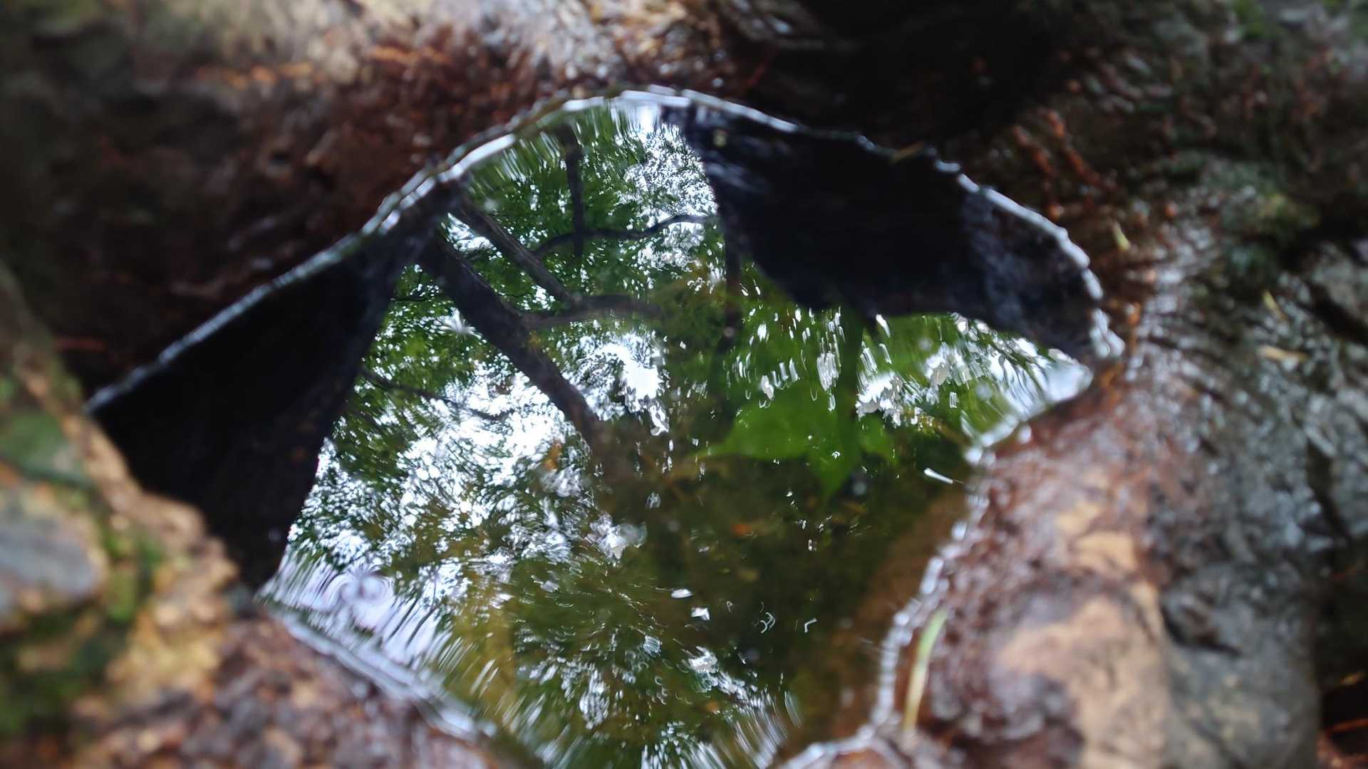 小さなお池のリフレクション🤗