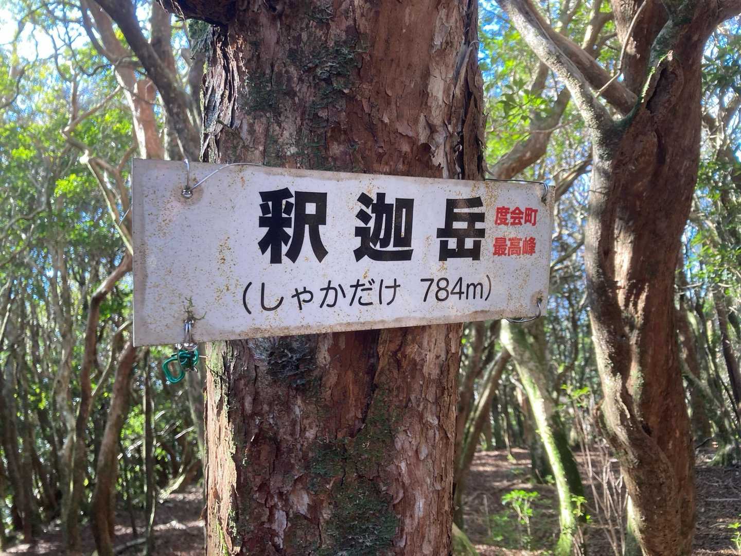 藤越-栃谷山-釈迦岳-釈迦岳 往復コースの写真